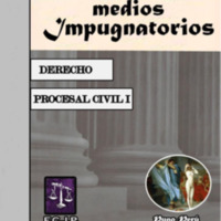 LIBRO LOS MEDIOS IMPUGNATORIOS 2020 - II.pdf
